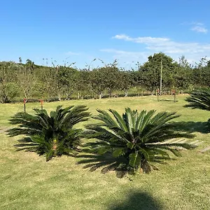 condominio-villas-do-campeche.santa-catarina-brasil.com/